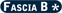 fascia B*