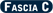 fascia C