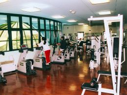 palestra