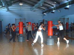 cardio int