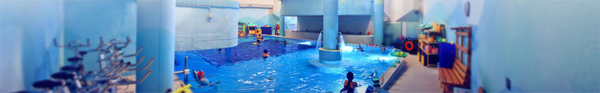 terme felsinee