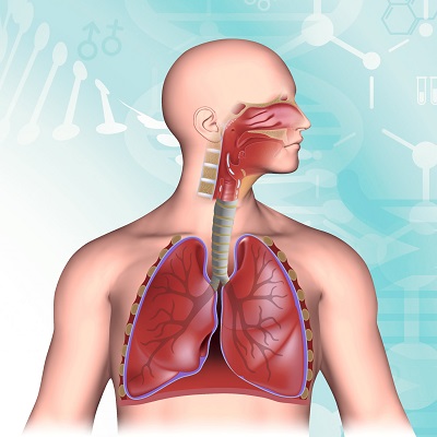 sistema respiratorio